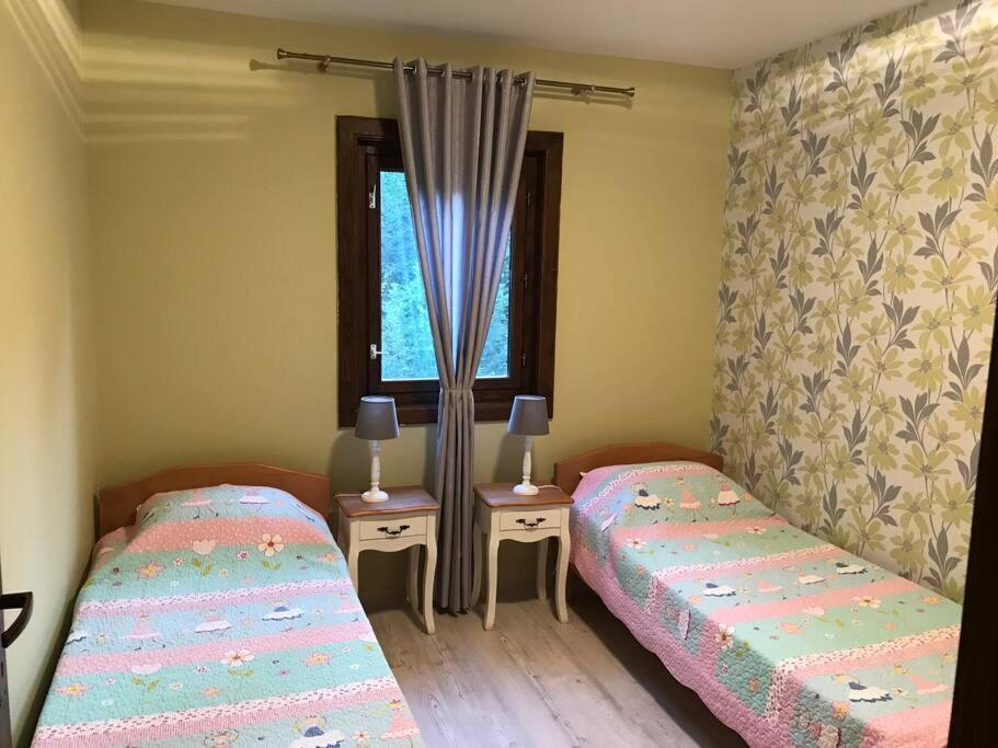 Roua - Apuseni Mountains Holiday home