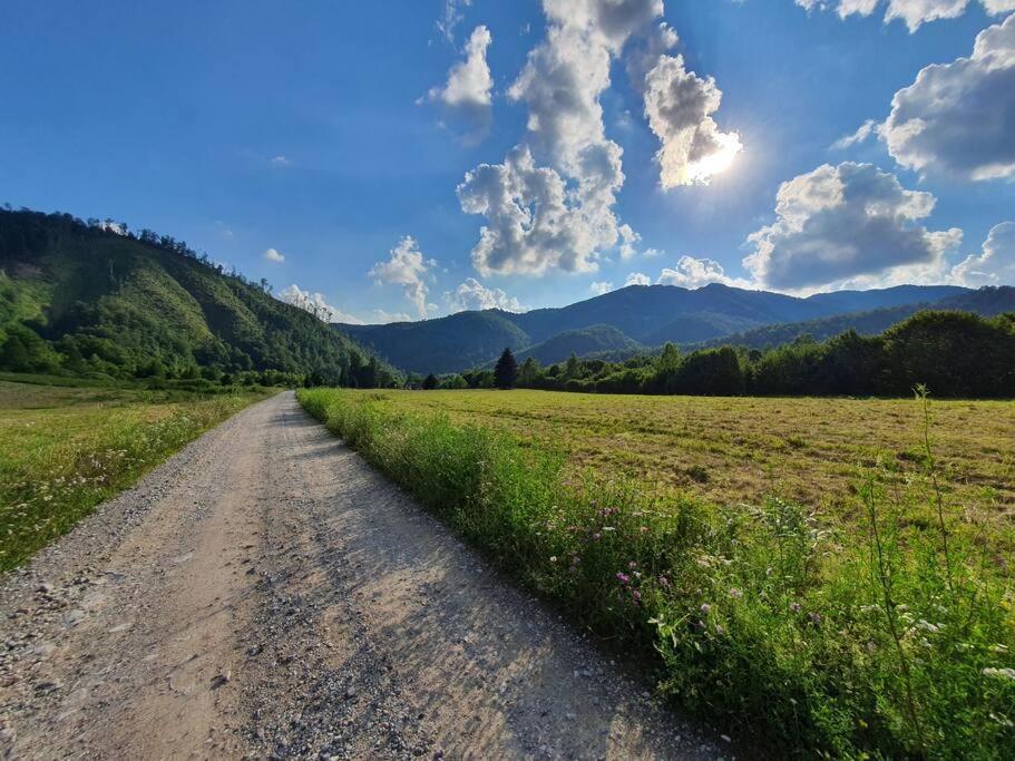 Holiday home Roua - Apuseni Mountains