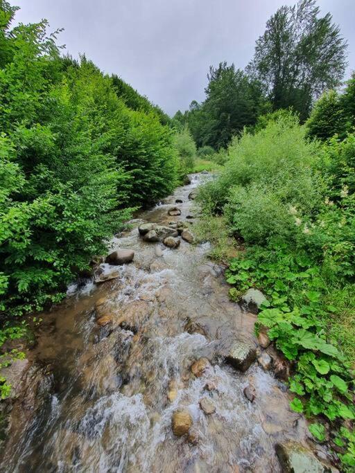 Roua - Apuseni Mountains Holiday home Pietroasa (Bihor)