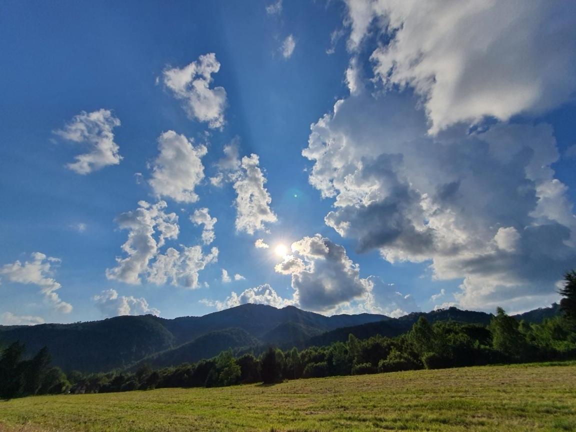 Roua - Apuseni Mountains Pietroasa (Bihor)