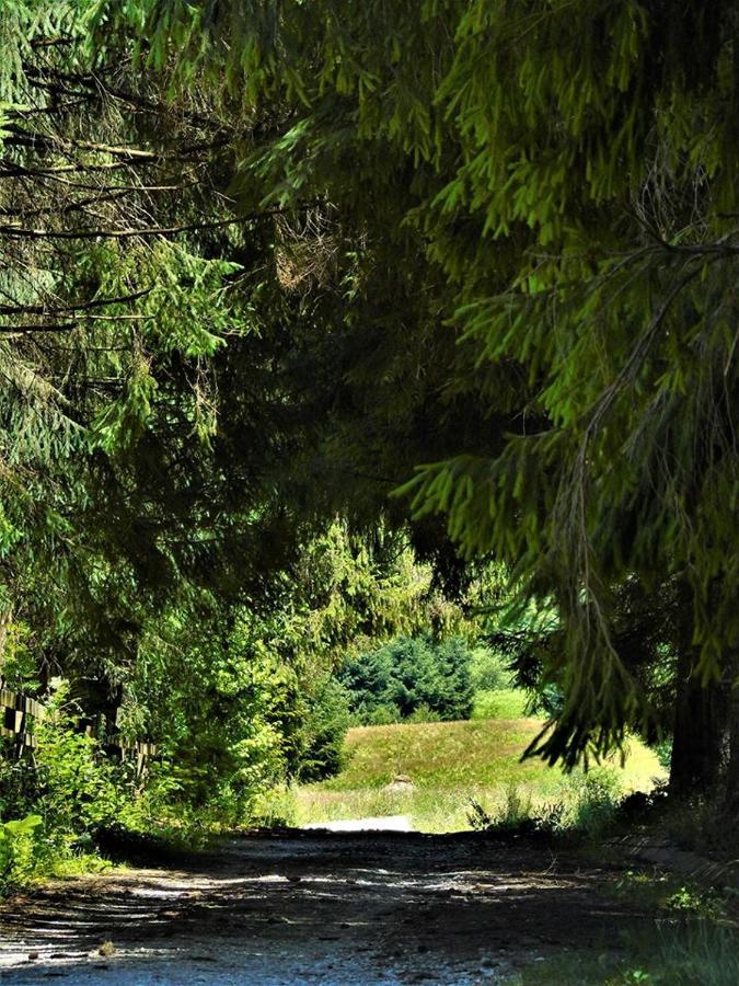 Roua - Apuseni Mountains