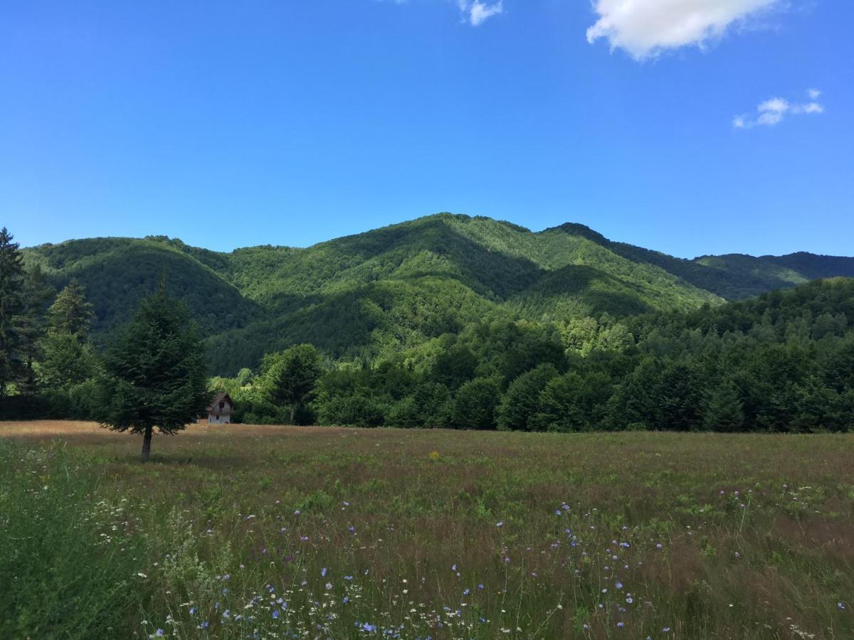 Holiday home Roua - Apuseni Mountains