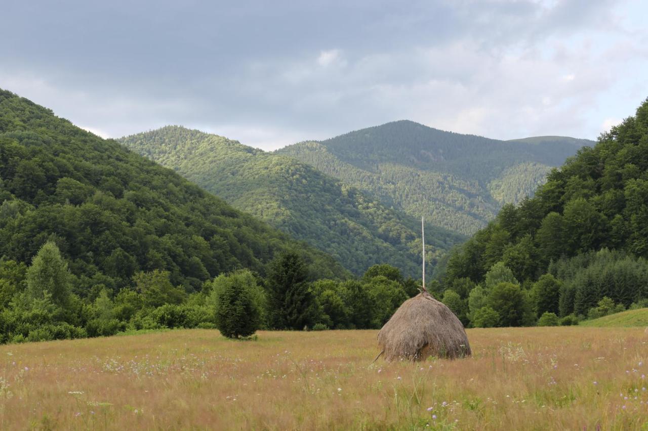 Roua - Apuseni Mountains Holiday home *