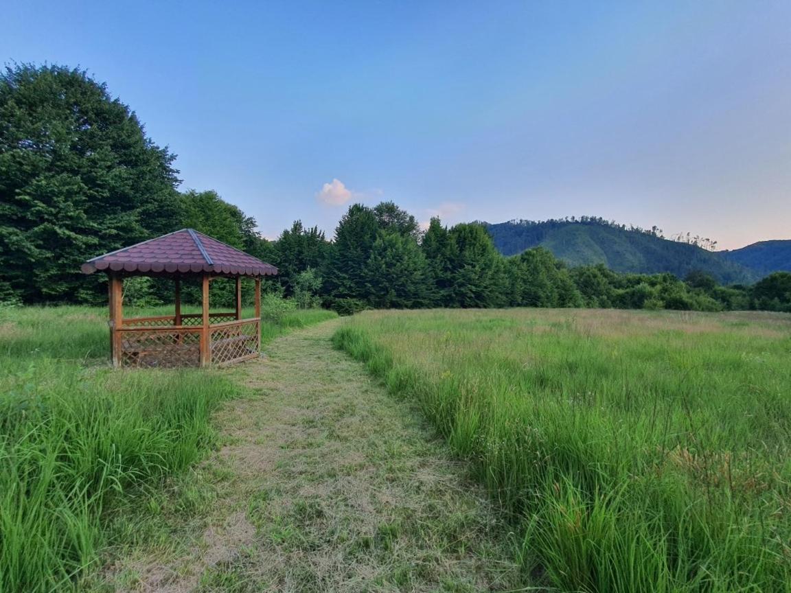 Roua - Apuseni Mountains