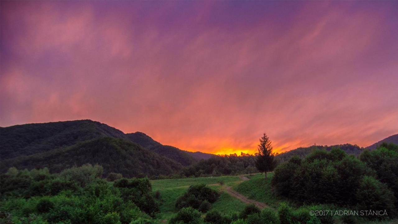 Holiday home Roua - Apuseni Mountains