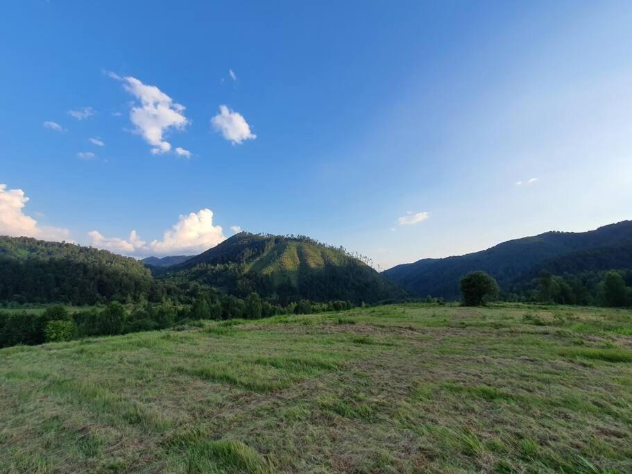 Holiday home Roua - Apuseni Mountains